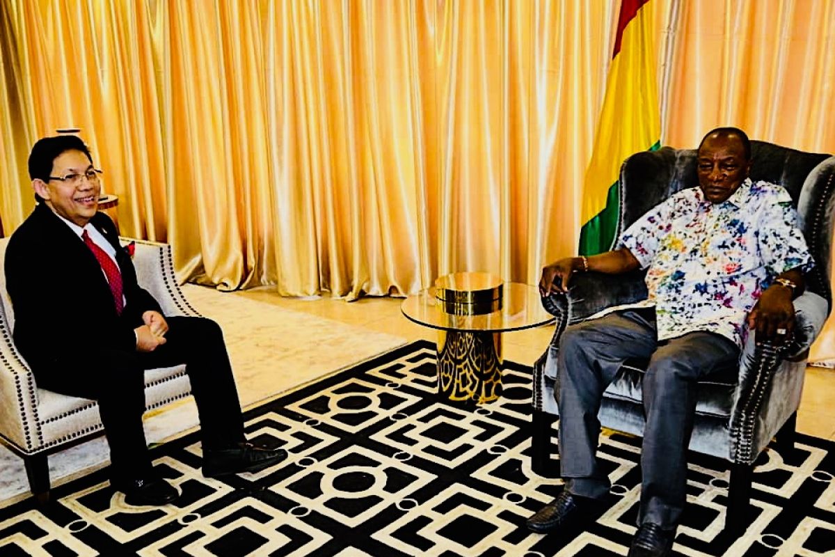 Presiden  Guinea, realisasikan kerjasama investasi