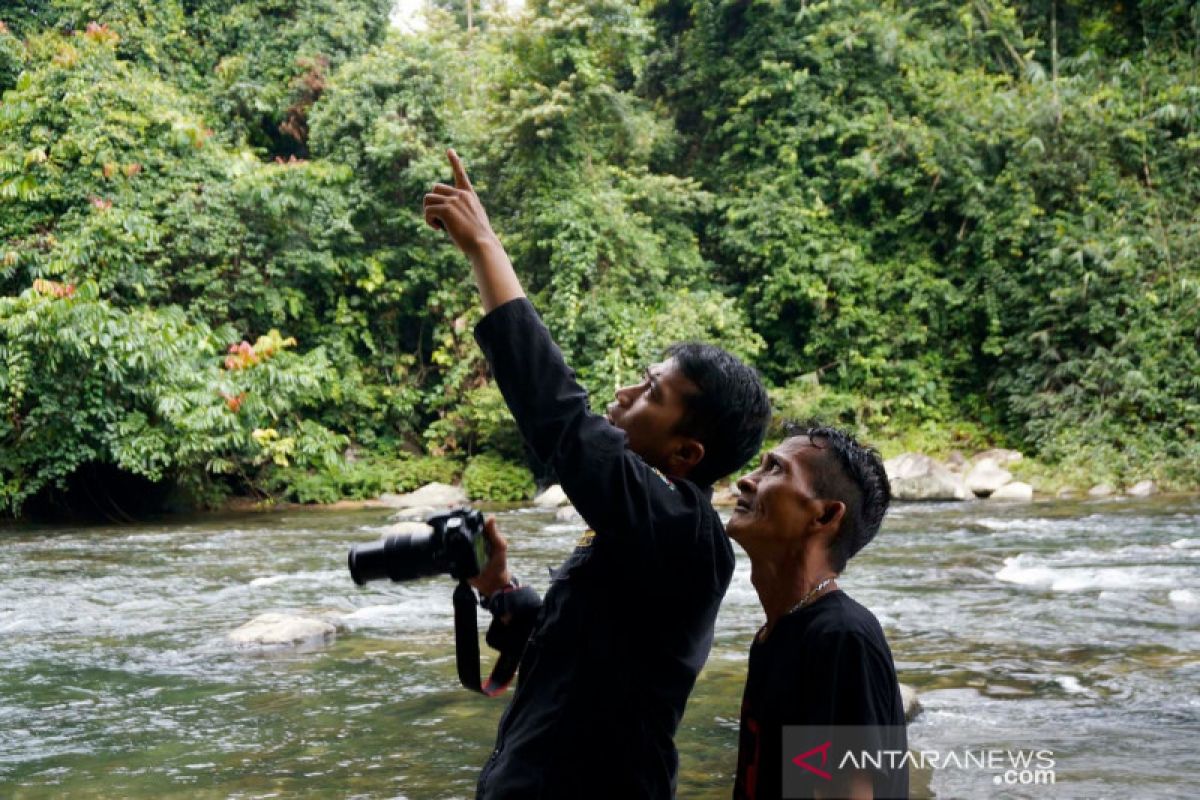 Sentuhan kearifan lokal, cara Ritno "melawan" pembalakan liar