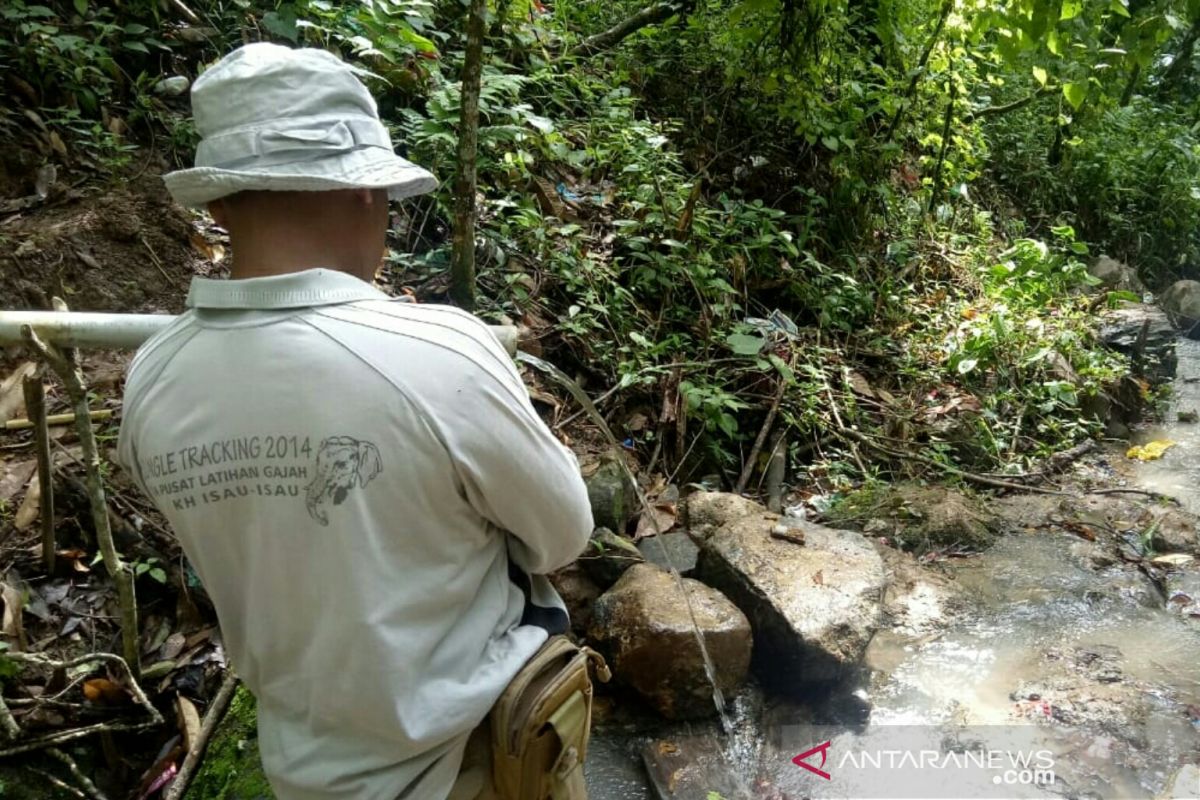 Harimau serang warga Muara Enim hingga tewas