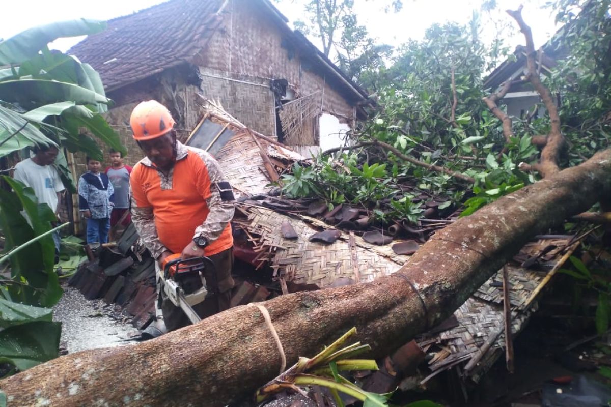 Strong wind, heavy rains damage a dozen of houses in Jember