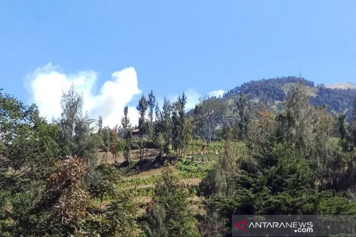 Jalur pendakian Merbabu ditutup pada malam tahun baru