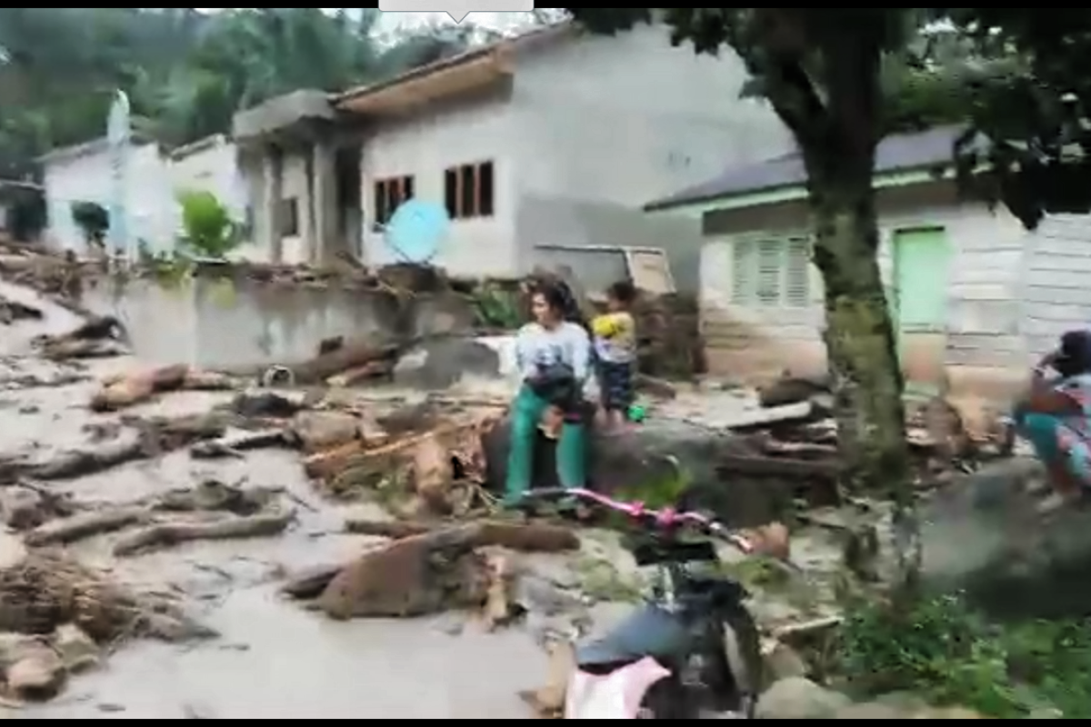 Banjir bandang di Labura diduga karena penebangan hutan