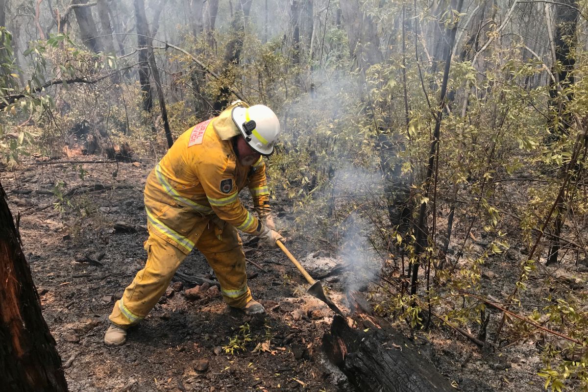 Ribuan penduduk dievakuasi dari kawasan wisata Australia karena kebakaran hutan