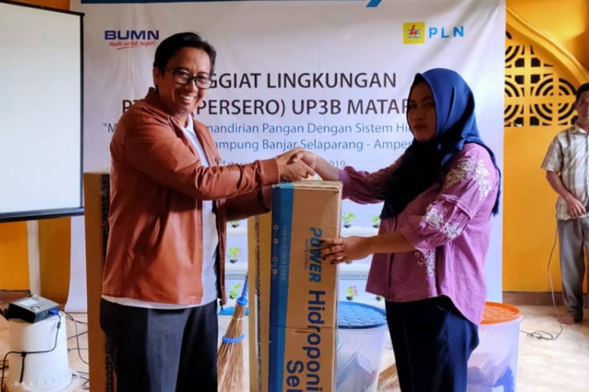 Tingkatkan kemandirian, PLN UP3B Mataram kenalkan sistem hidroponik