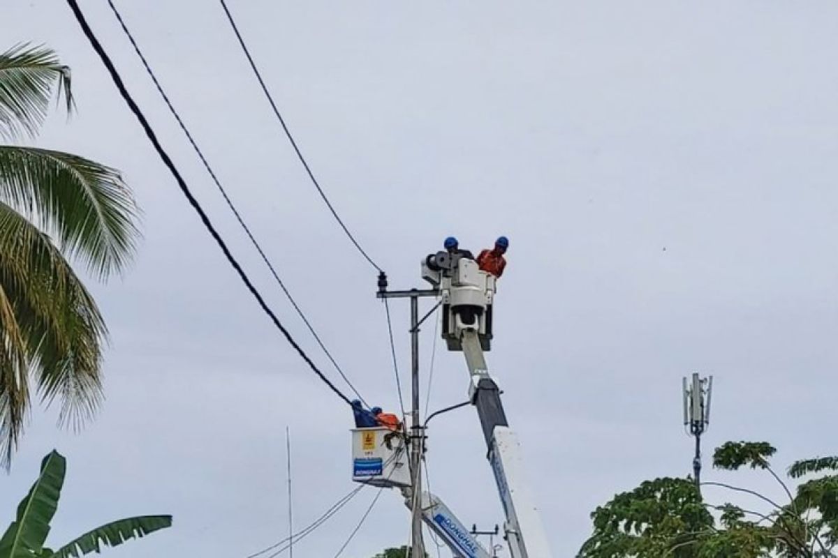 PLN bersihkan jaringan distribusi  dari pohon tumbang