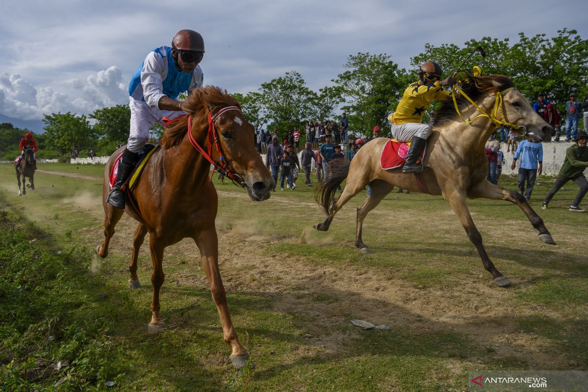 Lomba Pacuan Kuda Di Sigi Antara News