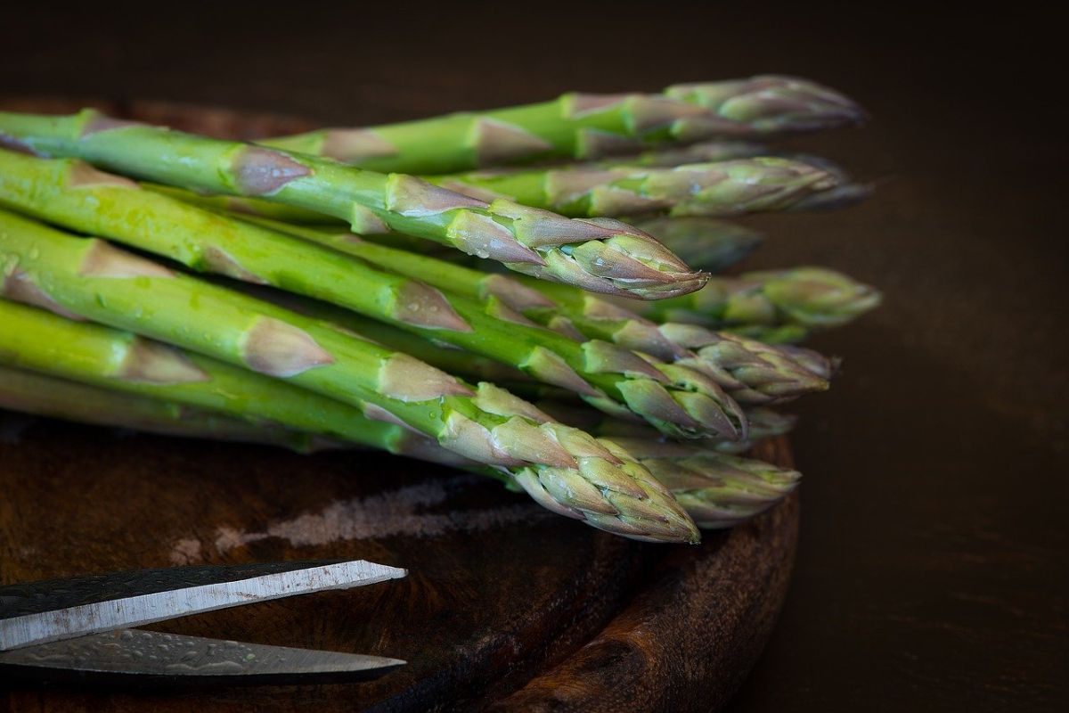 Asparagus bisa sebabkan urin berbau busuk, kok bisa?