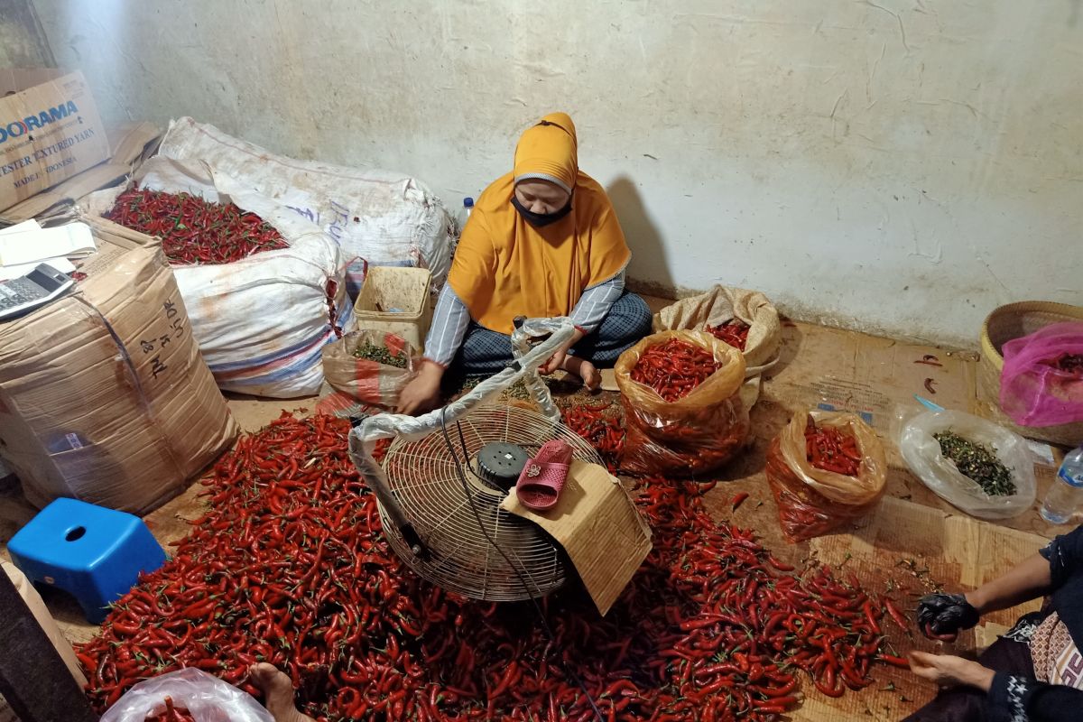 Pasar Induk Kramat Jati sediakan 233 ton  bawang dan cabai