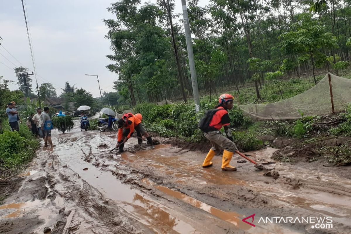 Banjir bandang terjang Desa Pace Jember