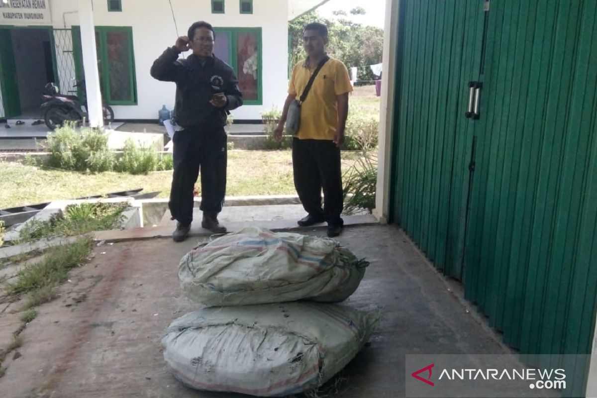 Pemkab Mukomuko beri bantuan 300 unit kawat untuk kendalikan hama babi