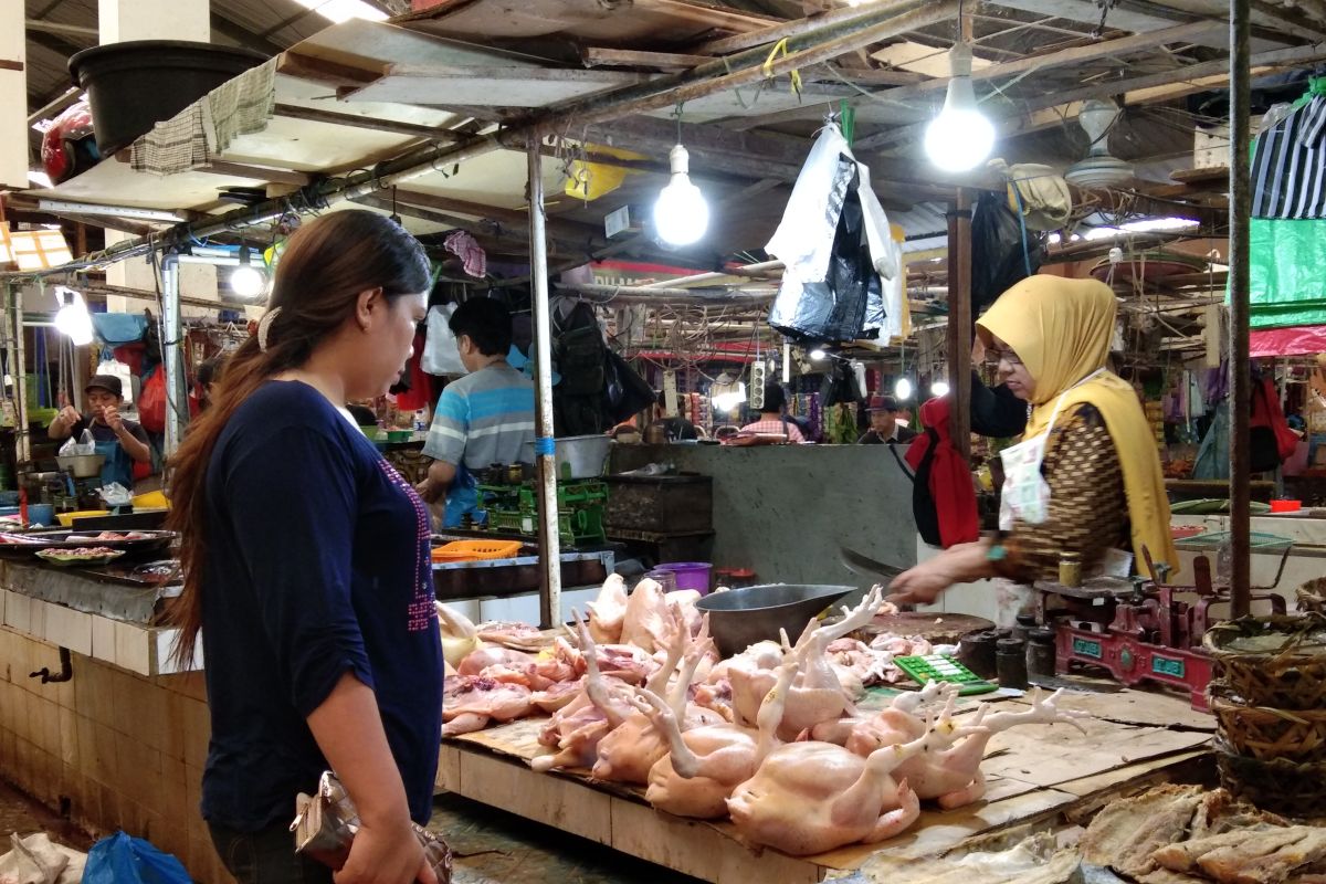 Jelang tahun baru harga ayam di Palangka Raya merangkak naik