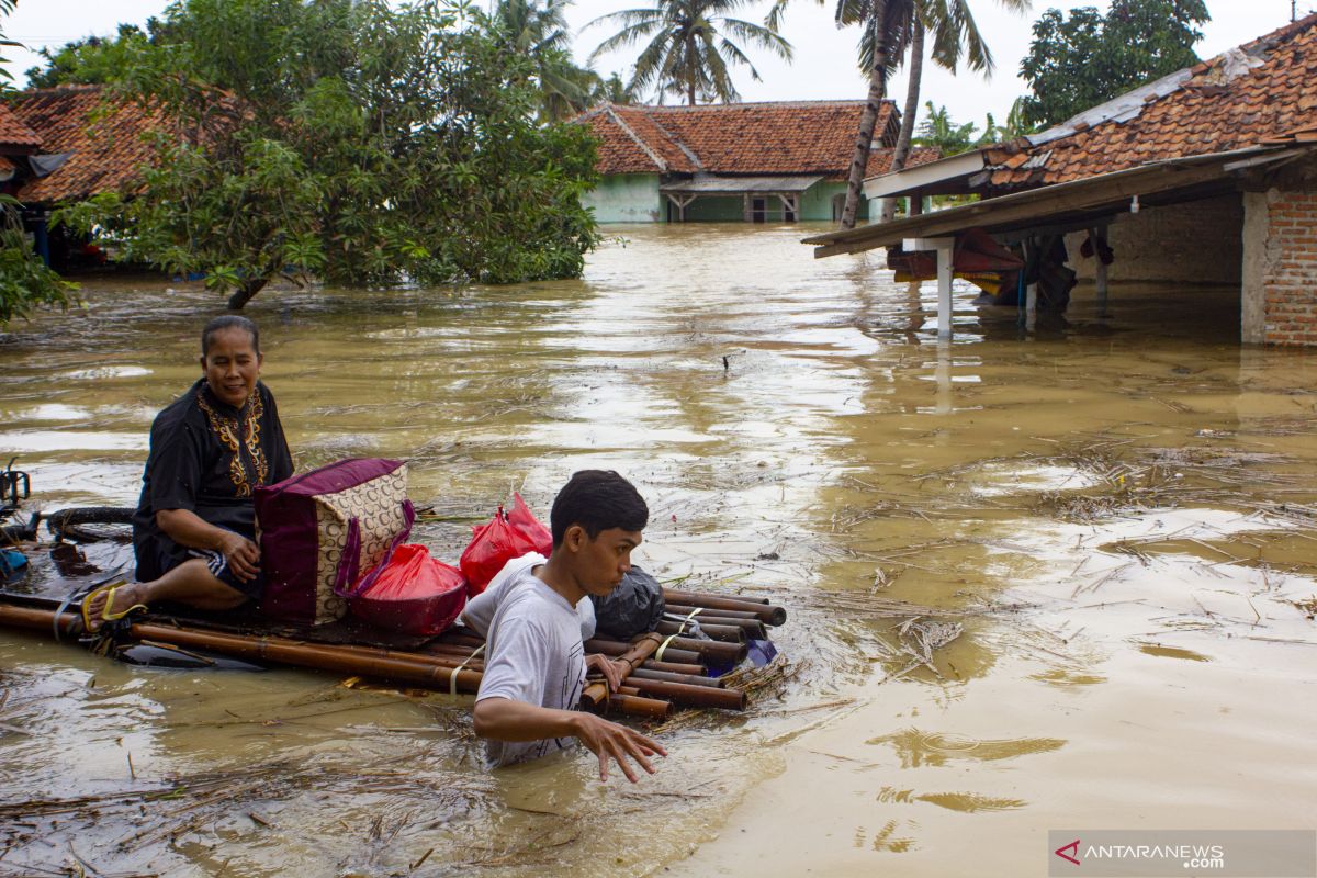 Waspada ular di lokasi banjir, sudah belasan korban dirawat di RS setelah digigit