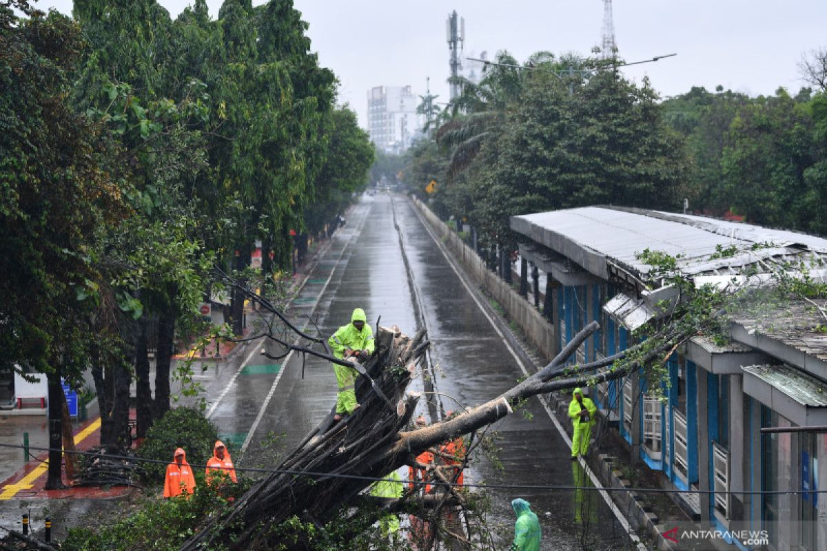 Sejumlah layanan bus Transjakarta telah pulih