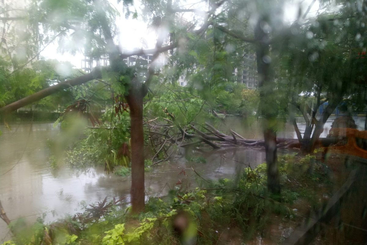 Air menggenangi jalan hingga pohon tumbang menuju Ancol