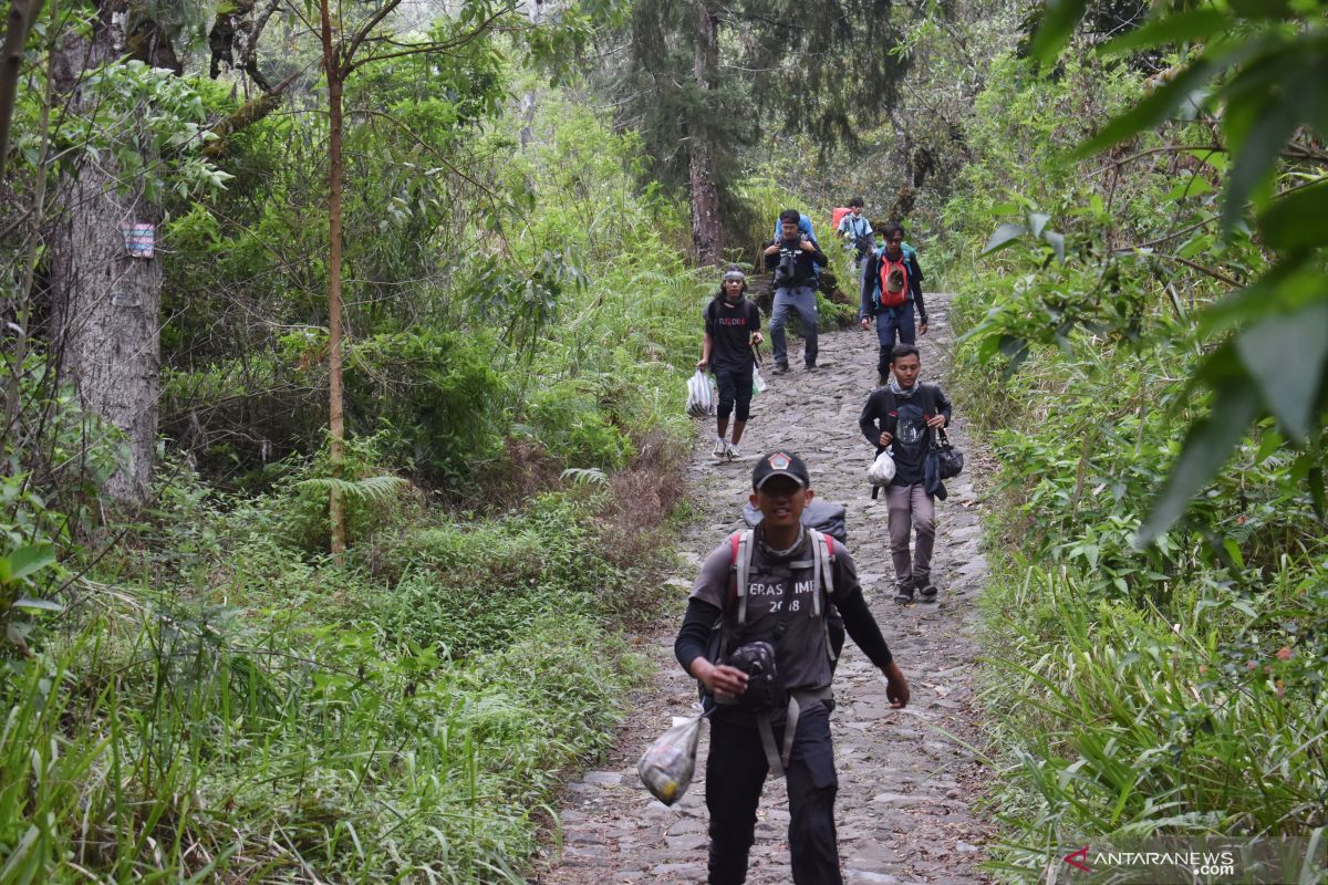 Jalur pendakian Gunung Lawu kembali dibuka