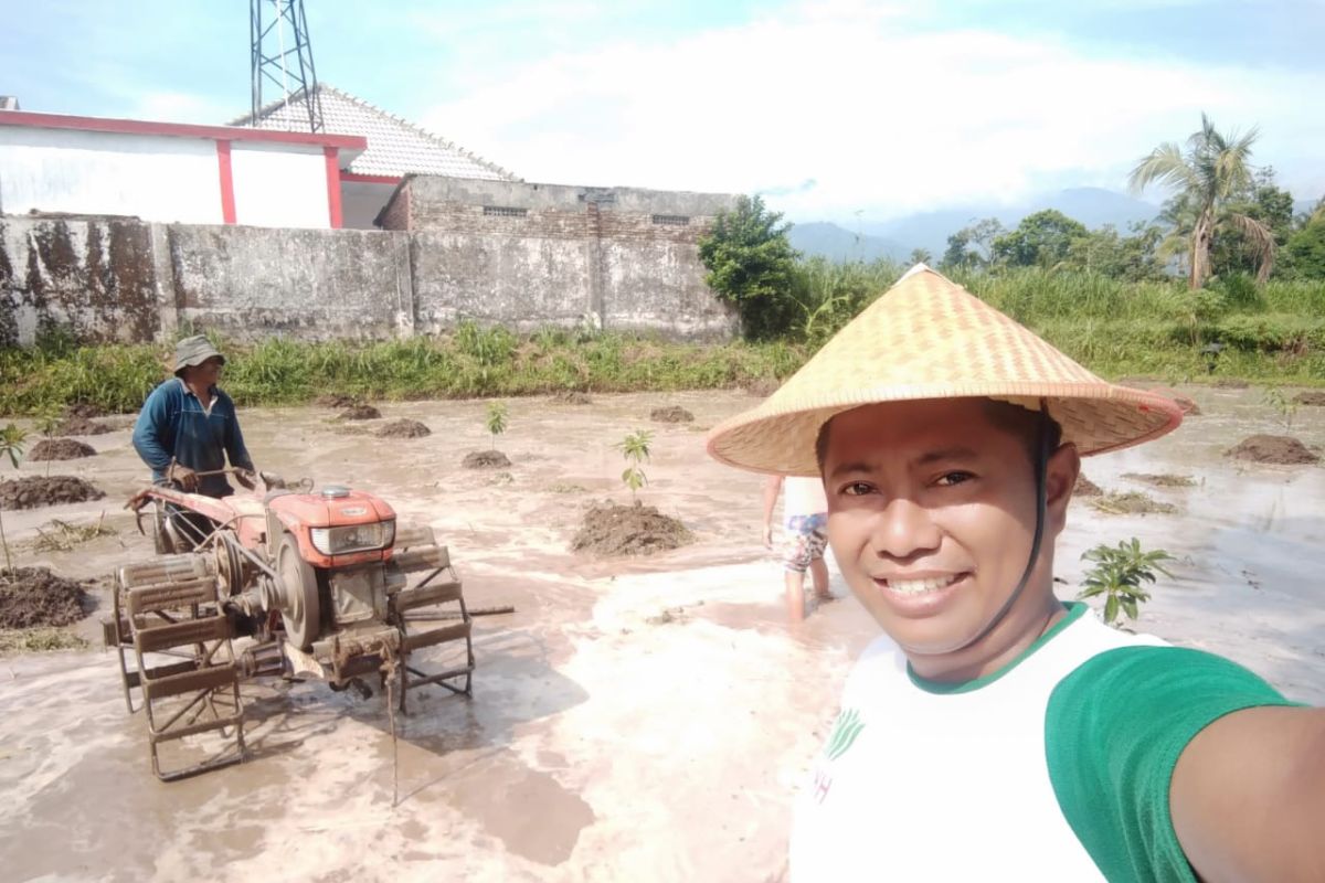 Permentan alokasi pupuk belum turun, petani di Jember tidak bisa dapatkan pupuk bersubsidi