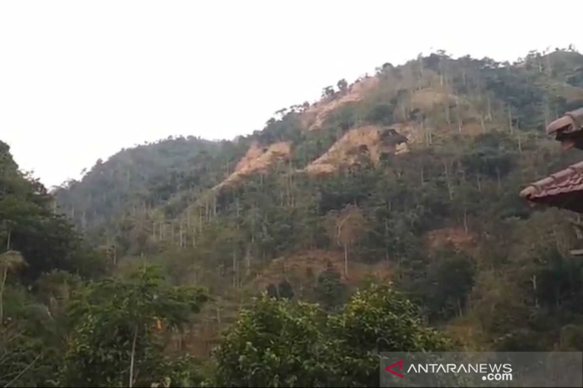 Pemprov Jawa Tengah dorong kabupaten/kota galakkan penghijauan