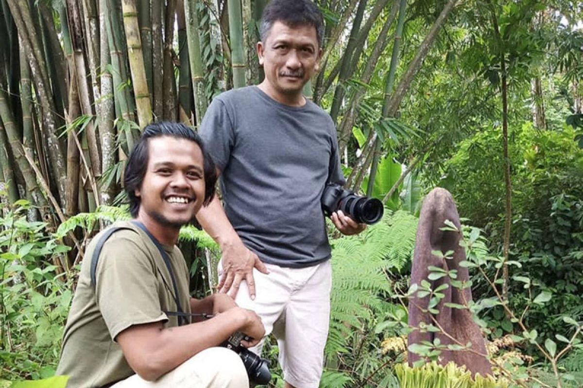 Warga Sibolangit dihebohkan tumbuhnya bunga bangkai langka