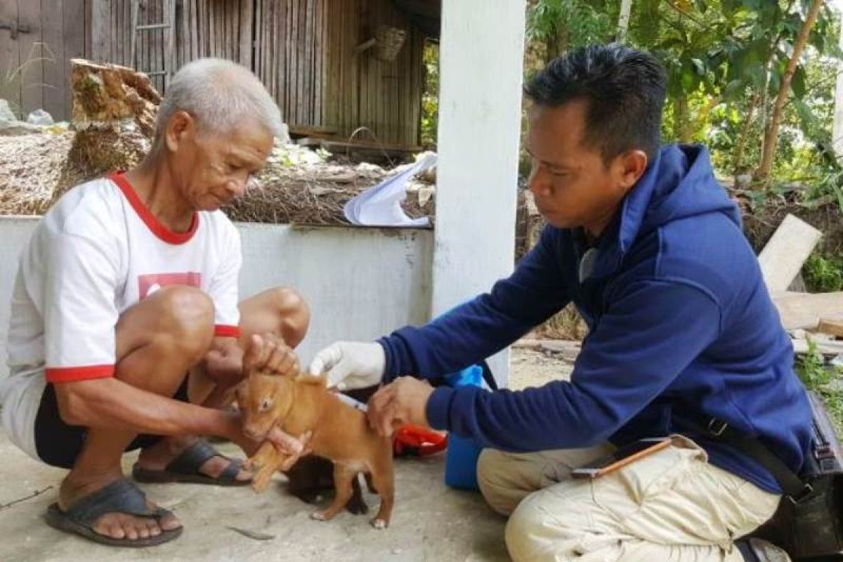 DPKP Gumas prioritaskan vaksin rabies ke tujuh kecamatan