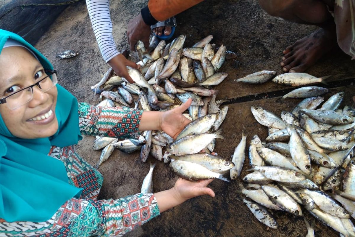 Pakar pangan Unej paparkan tips mencegah keracunan ikan tongkol