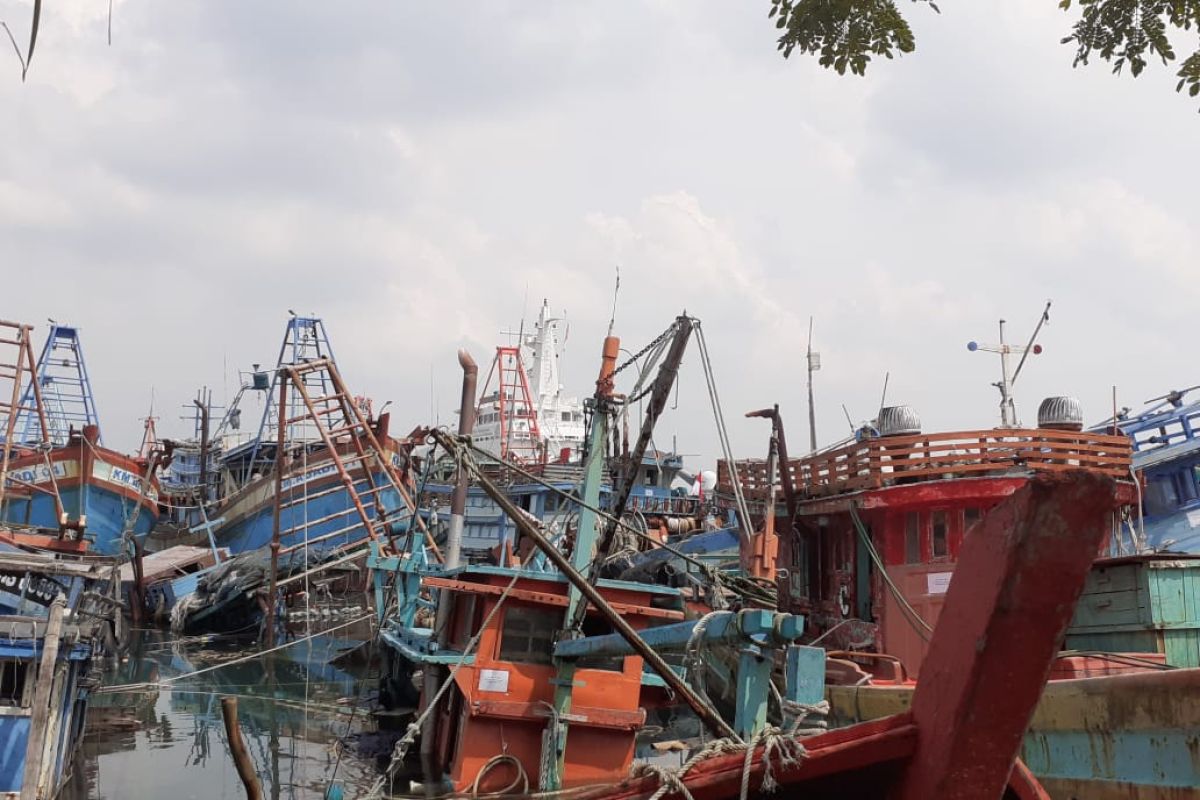 Pendapatan nelayan Natuna menurun 75 persen