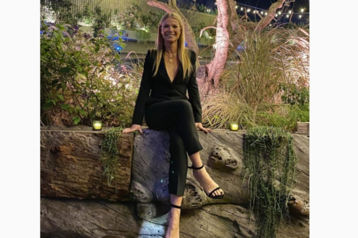 Gunakan foto tanpa lisensi, perusahaan Gwyneth Paltrow dituntut