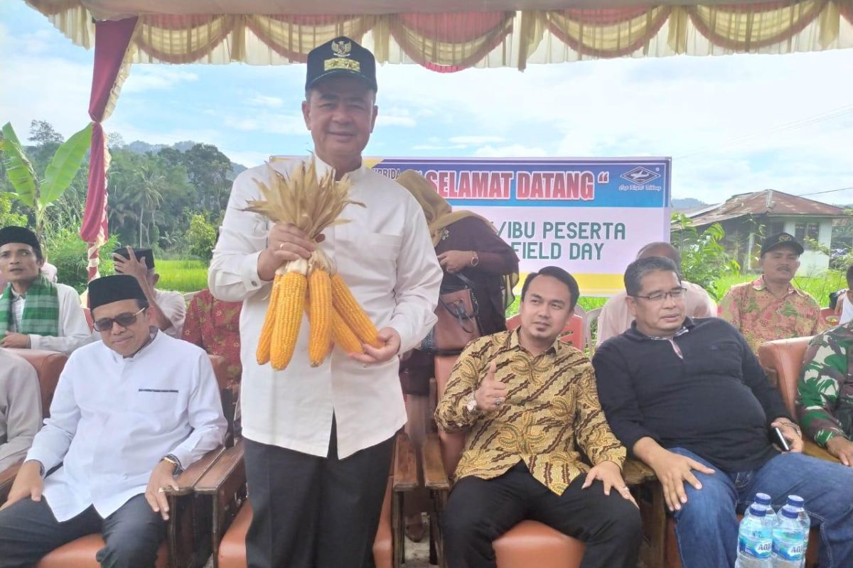 Produksi jagung bisa tingkatkan ekonomi Limapuluh Kota