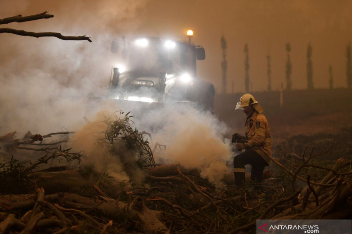 Hujan sedikit meredakan krisis kebakaran hutan di Australia