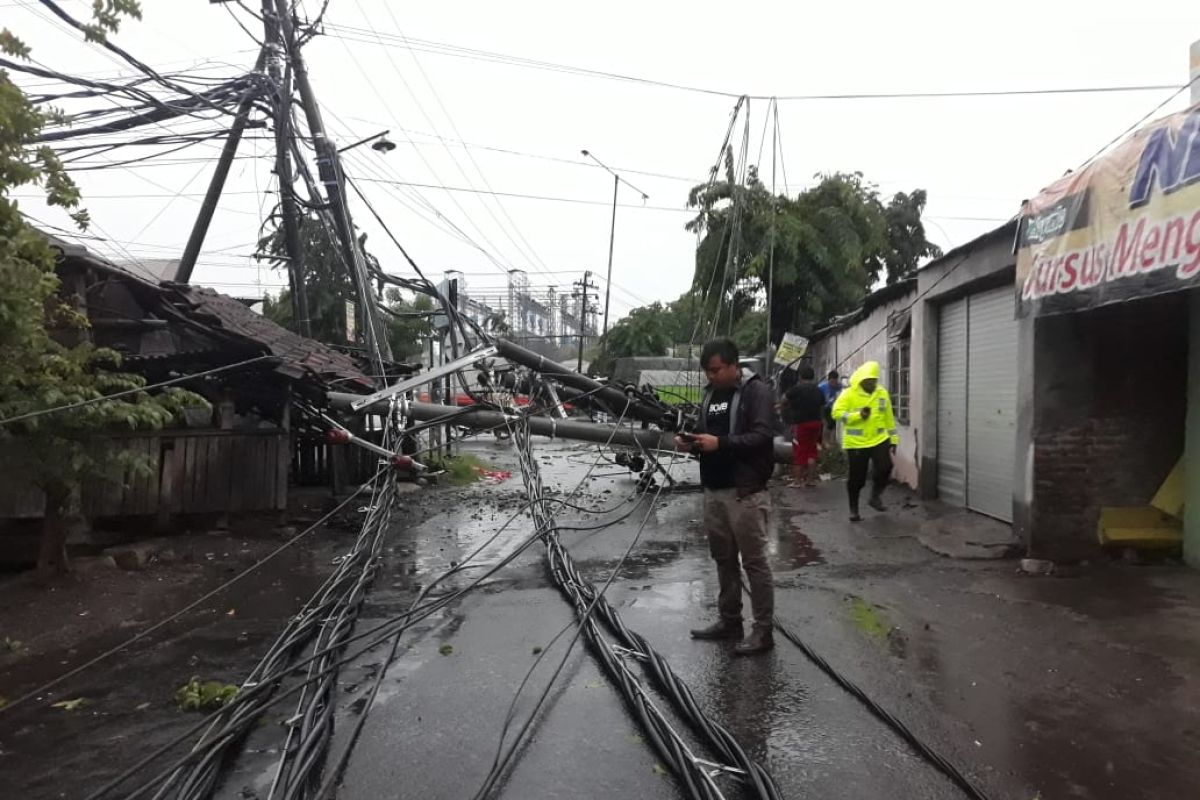 Sejumlah pohon dan tiang listrik di Sidoarjo tumbang diterjang angin kencang