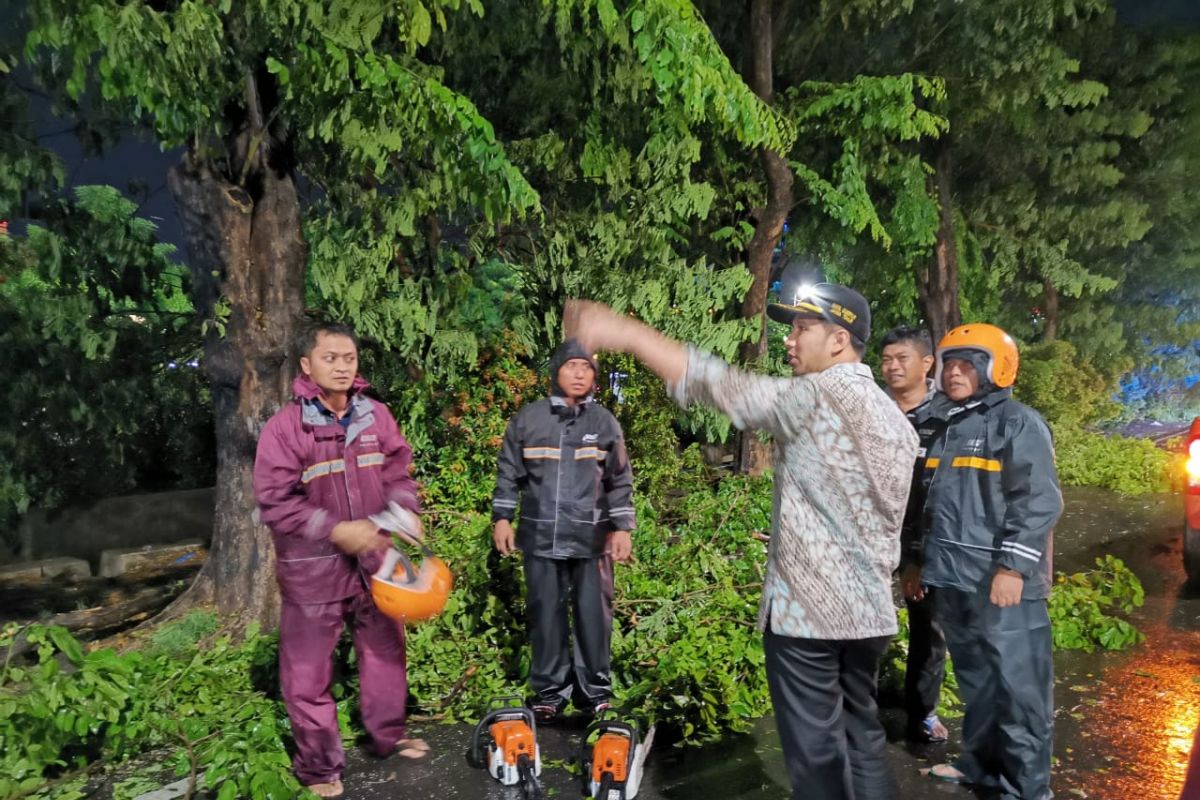 Hujan deras disertai angin kencang, Emil Dardak imbau masyarakat waspada