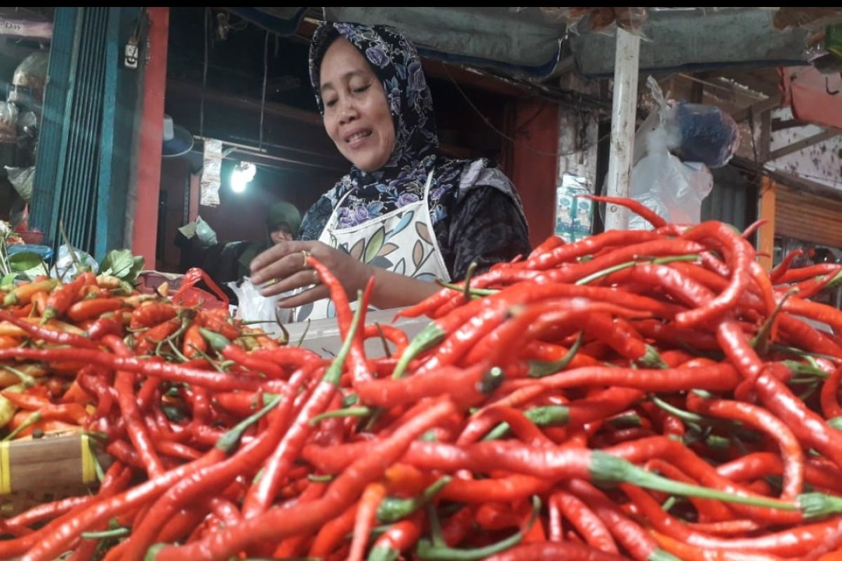 Harga cabai di Solok Selatan naik di awal tahun