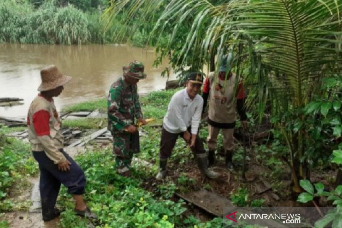 Warga Banua Lawas tanam bibit bambu di bantaran Sungai Tabalong