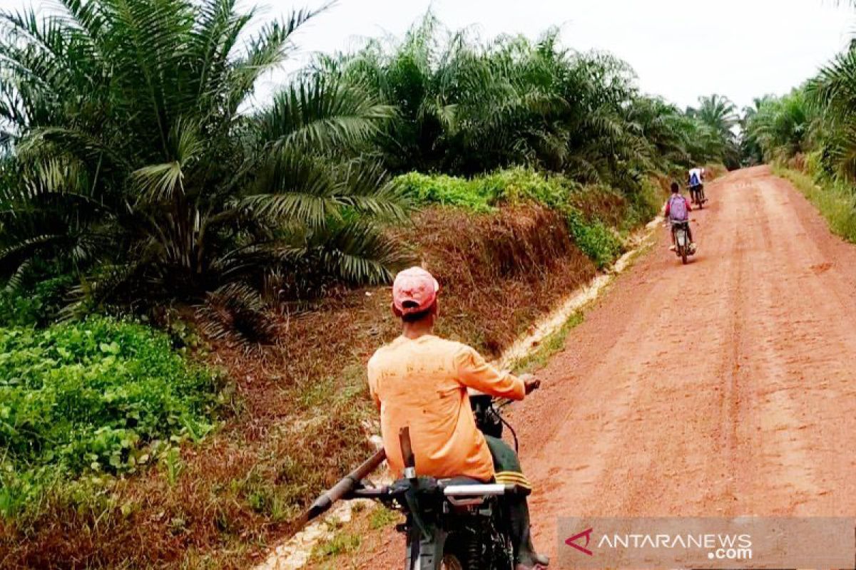 Gubernur usul dana bagi hasil kelapa sawit ke Jokowi