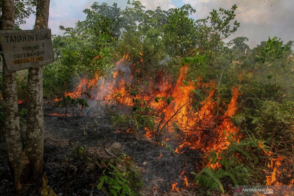 Sembilan titik panas Karhutla kepung Riau