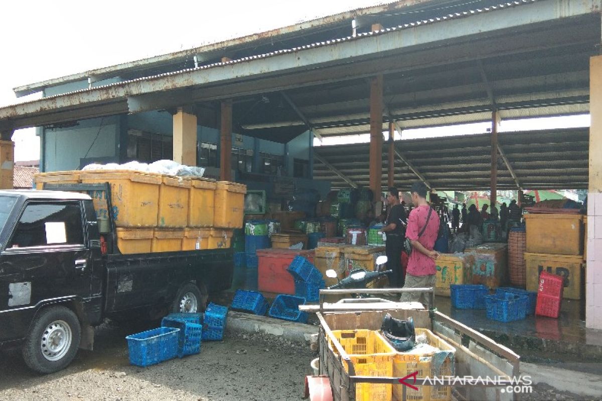 Ombak besar, aktivitas lelang ikan TPI Pekalongan masih normal