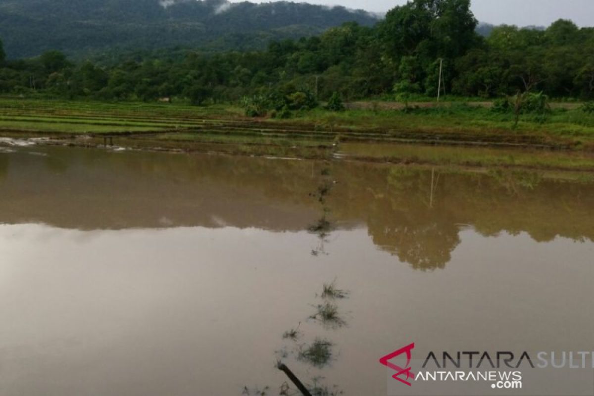 Ada 876 hektare sawah di Karawang terendam banjir