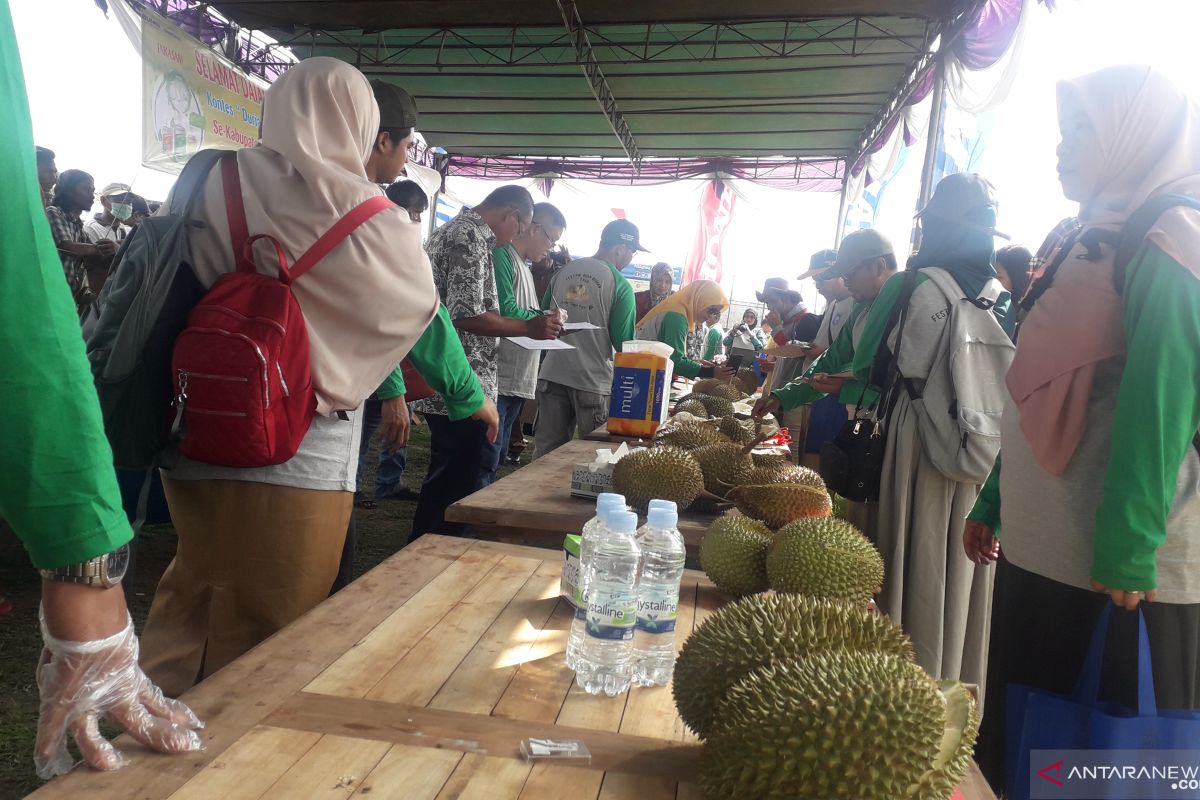 Kontes durian lokal digelar di Bangka, Aceh bisa meniru