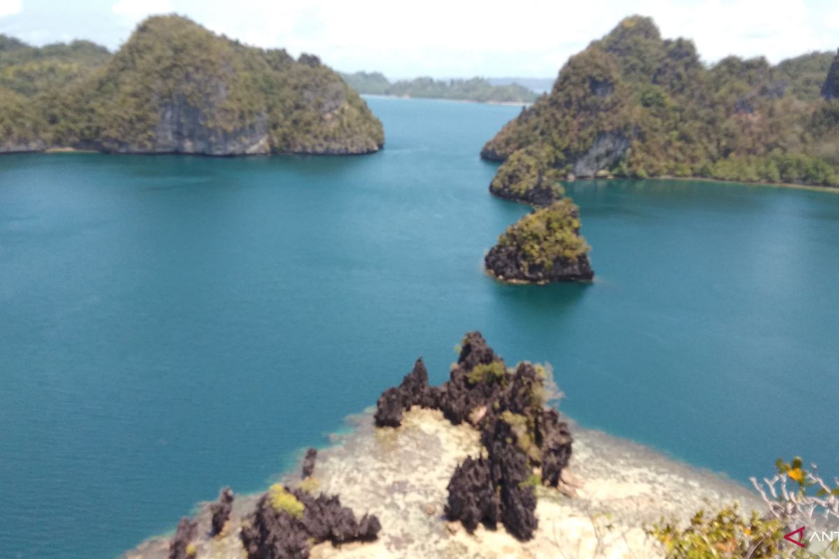 Kapal pesiar kandas di terumbu  karang Raja Ampat