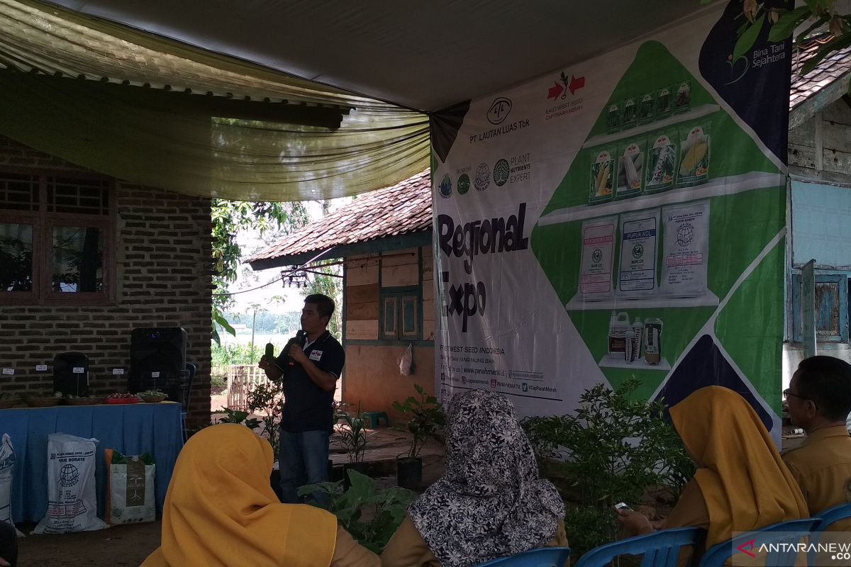 Lampung gelar ekspo hasil pertanian hortikultura