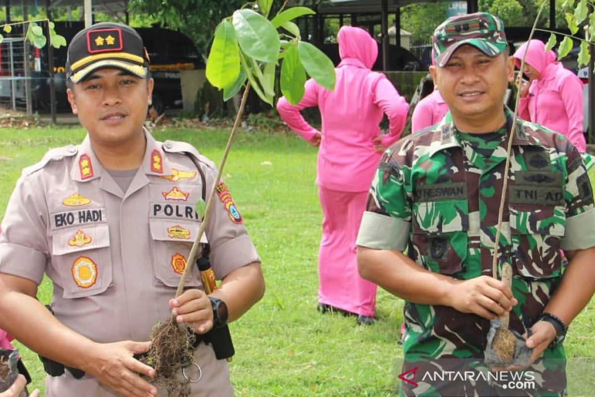 Sinergitas TNI-Polri tanam pohon menyambut Hari Lingkungan Hidup