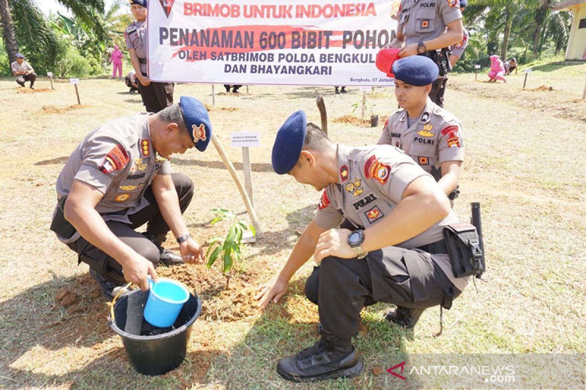 Personel Brimob Polda Bengkulu tanam 600 bibit pohon