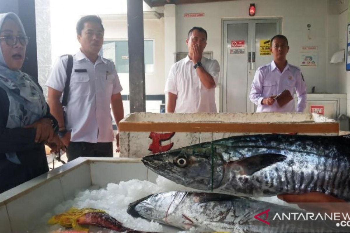 Keterbatasan kargo hambat  ekspor ikan laut NTB