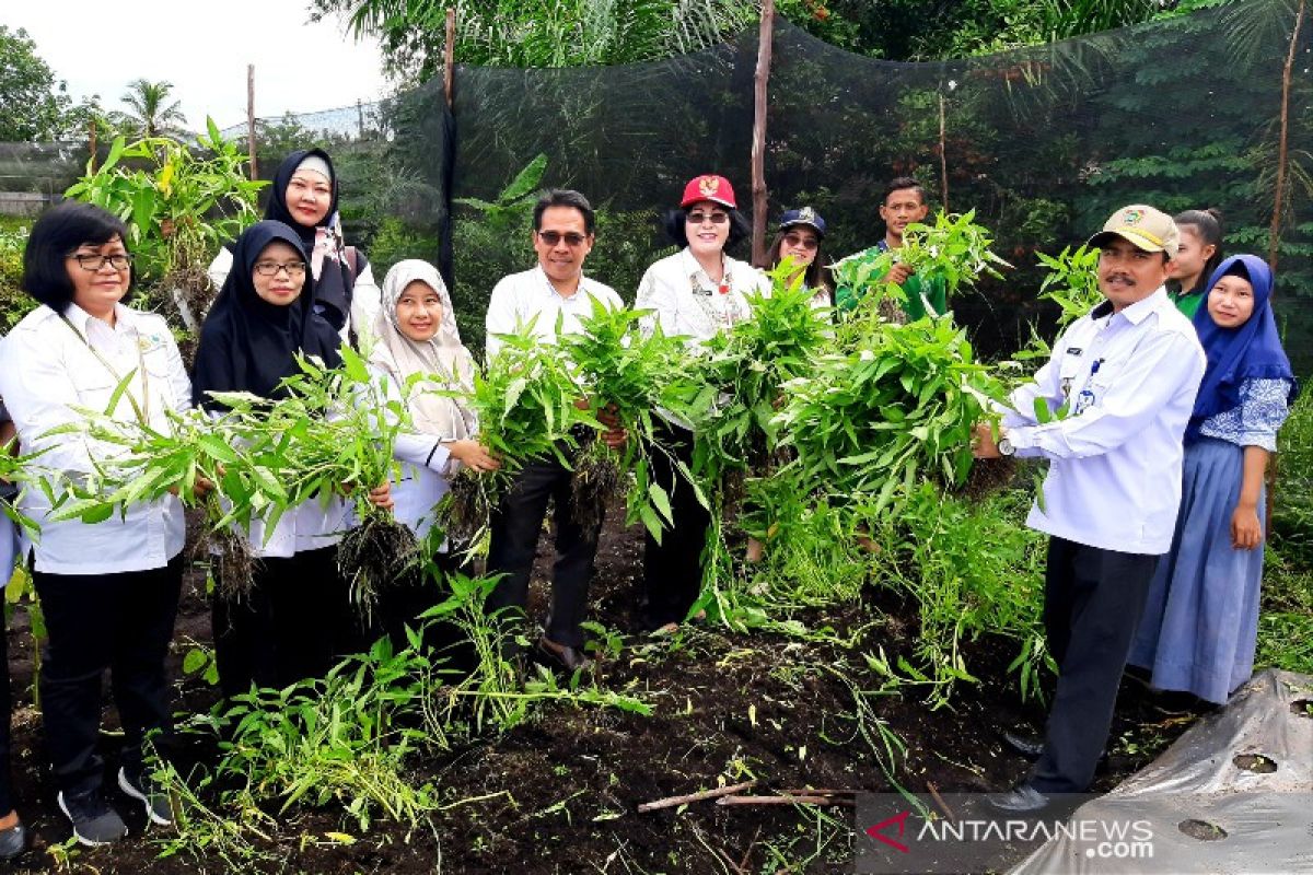 Tumbuhkan semangat bertani generasi muda di Kalteng melalui 'Tani Mas'