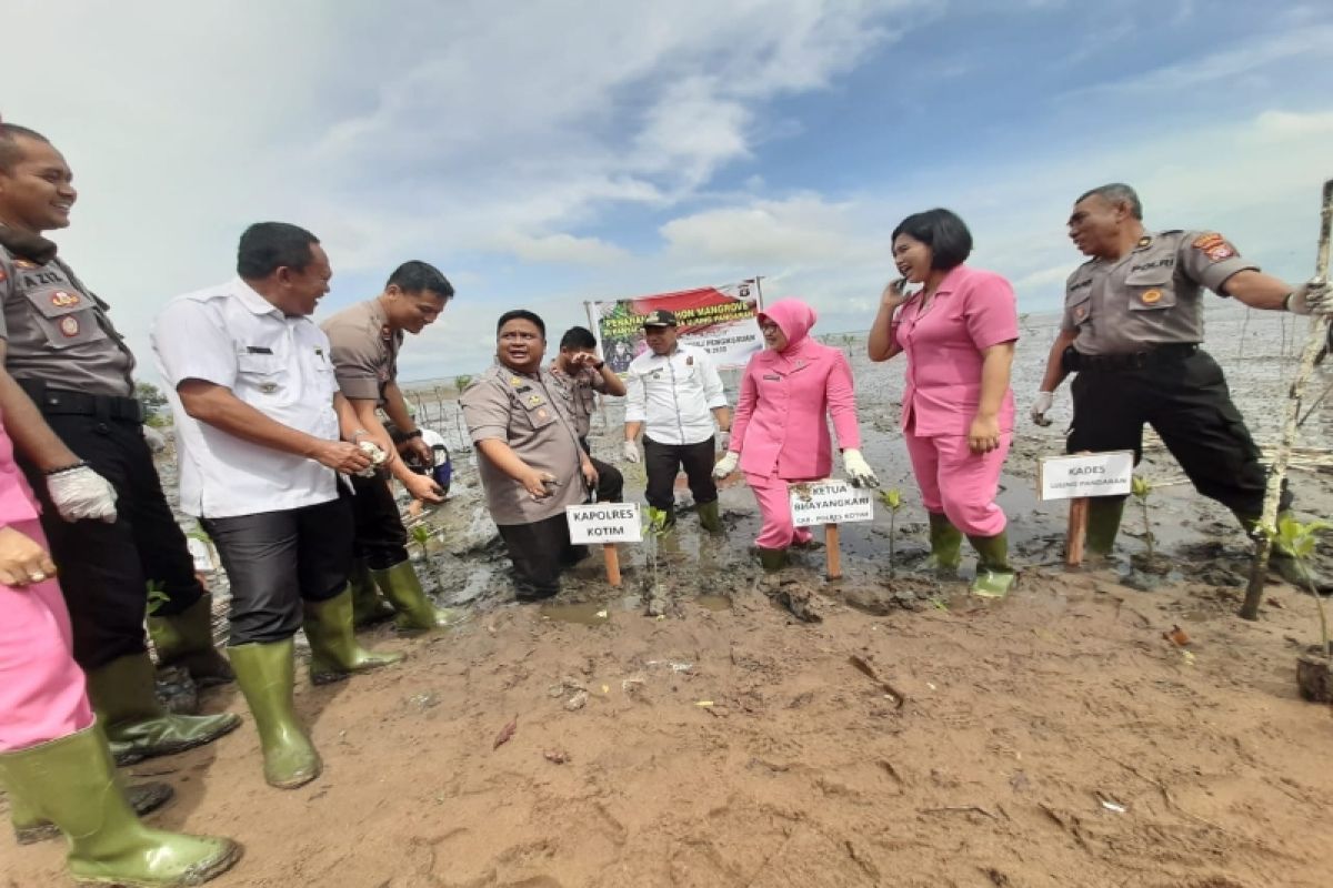 Polres Kotim tanam 1.000 mangrove selamatkan Pantai Ujung Pandaran