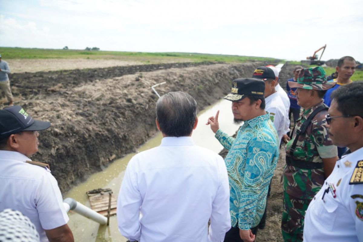 Program "Serasi" di Sidrap airi 6.000 hektar sawah