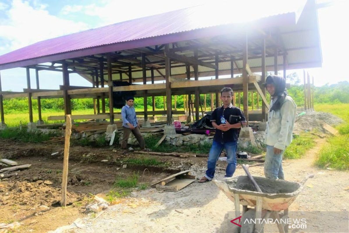 Sapi pengadaan telah tiba, proyek pembangunan kandang diputusin kontrak