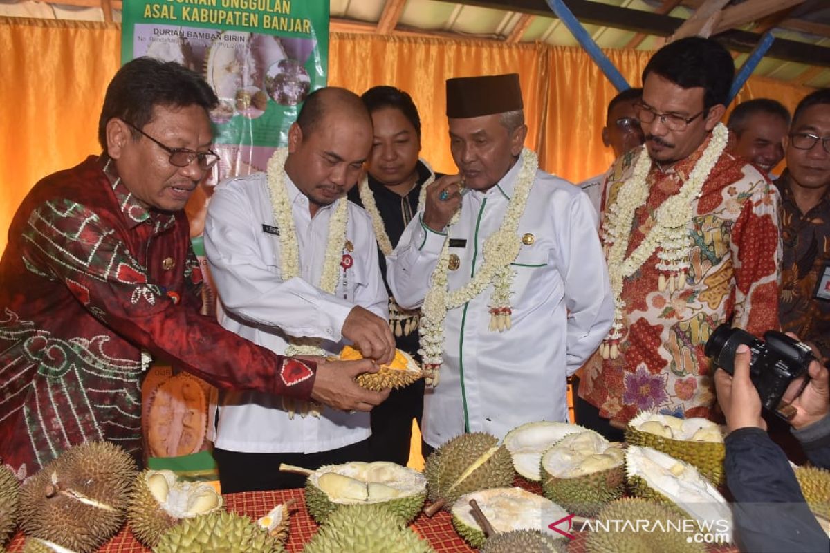 Banjar daftarkan 10 durian lokal varietas unggul nasional