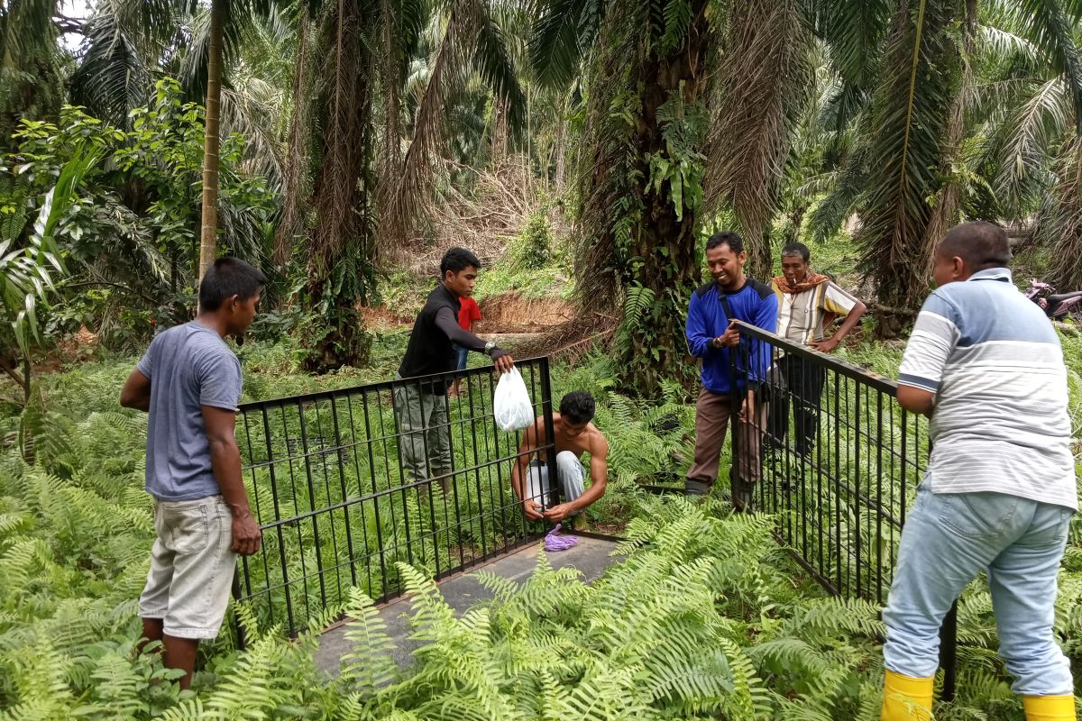 Selama 2019, terjadi 11 kejadian konflik manusia dengan satwa liar di Agam