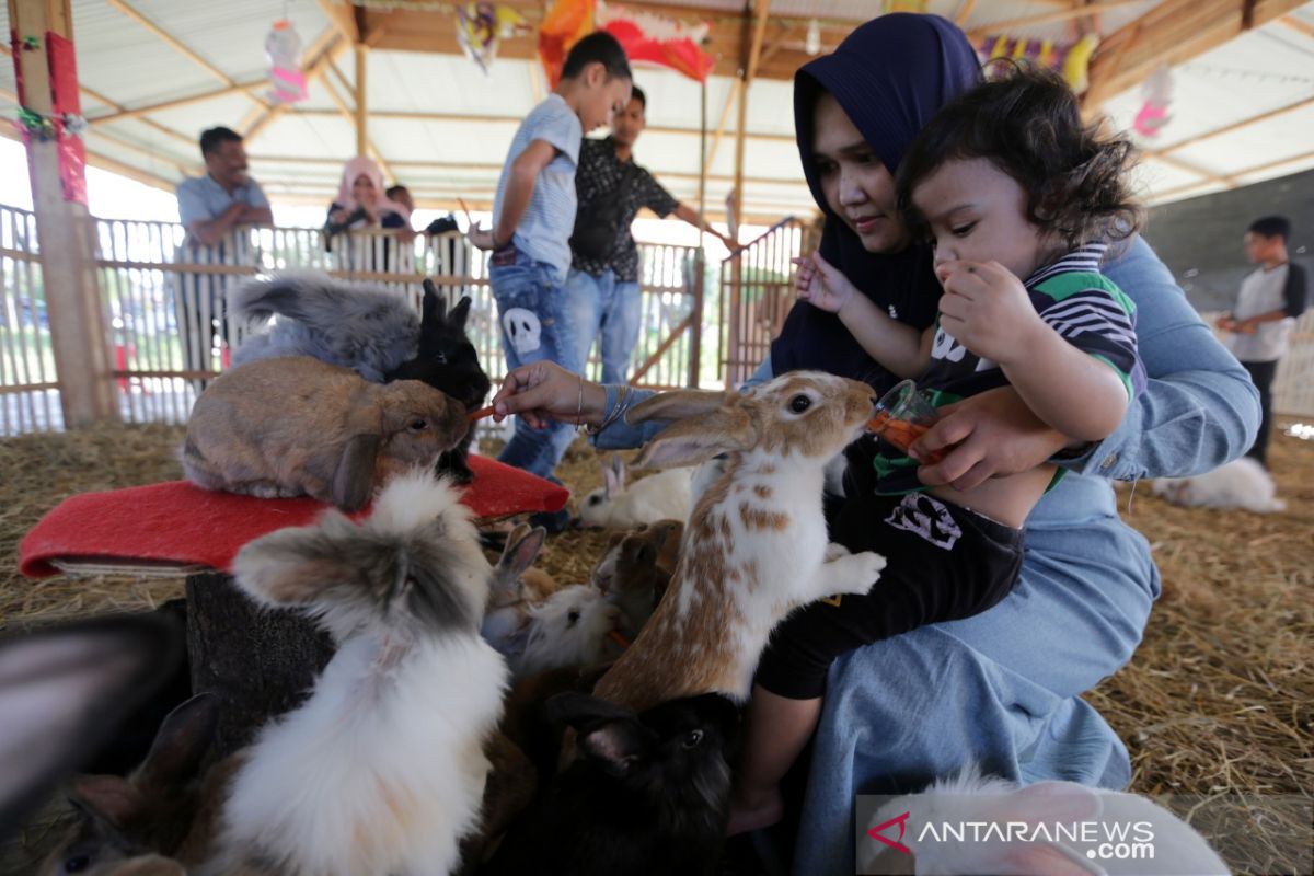 Taman Wisata Kelinci