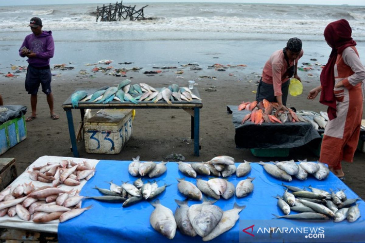 Stok ikan laut menurun